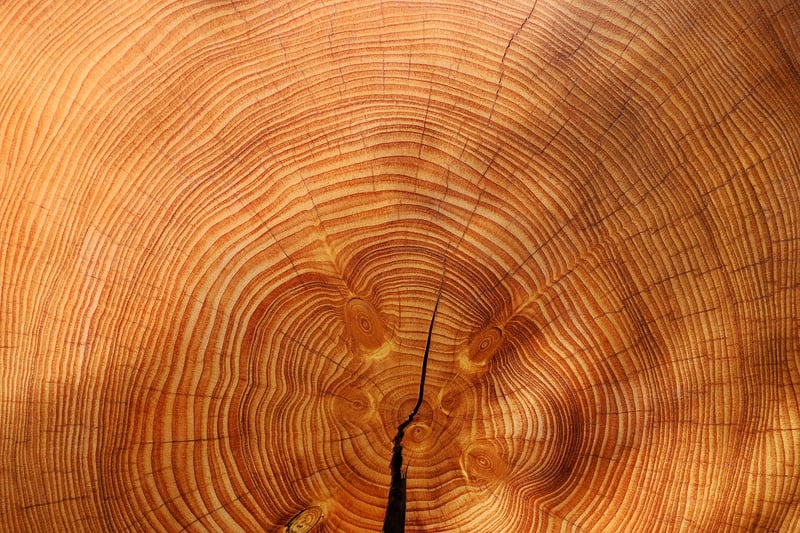 Circular Patterns