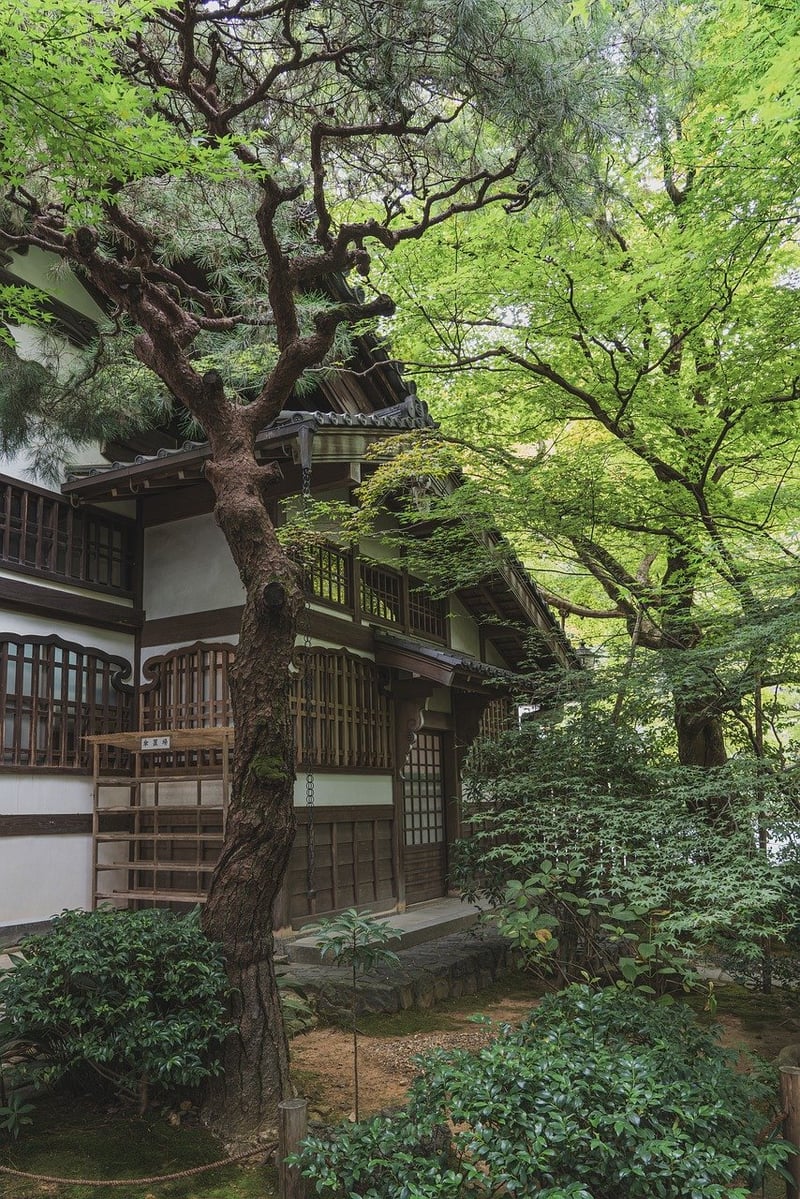 Zen Garden Stream