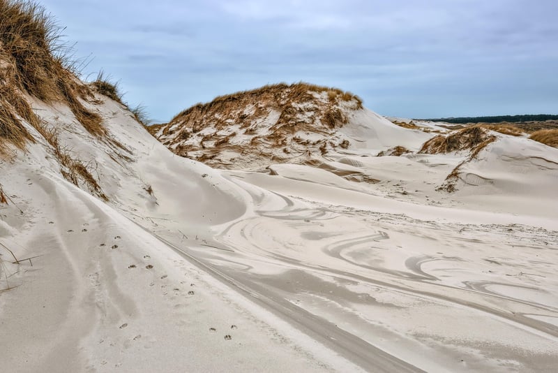 Wave Patterns