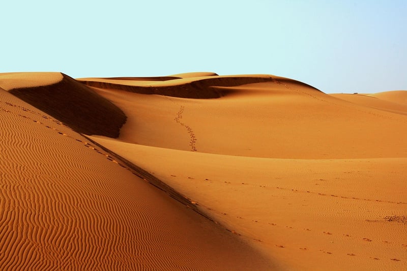 Sand Grooming